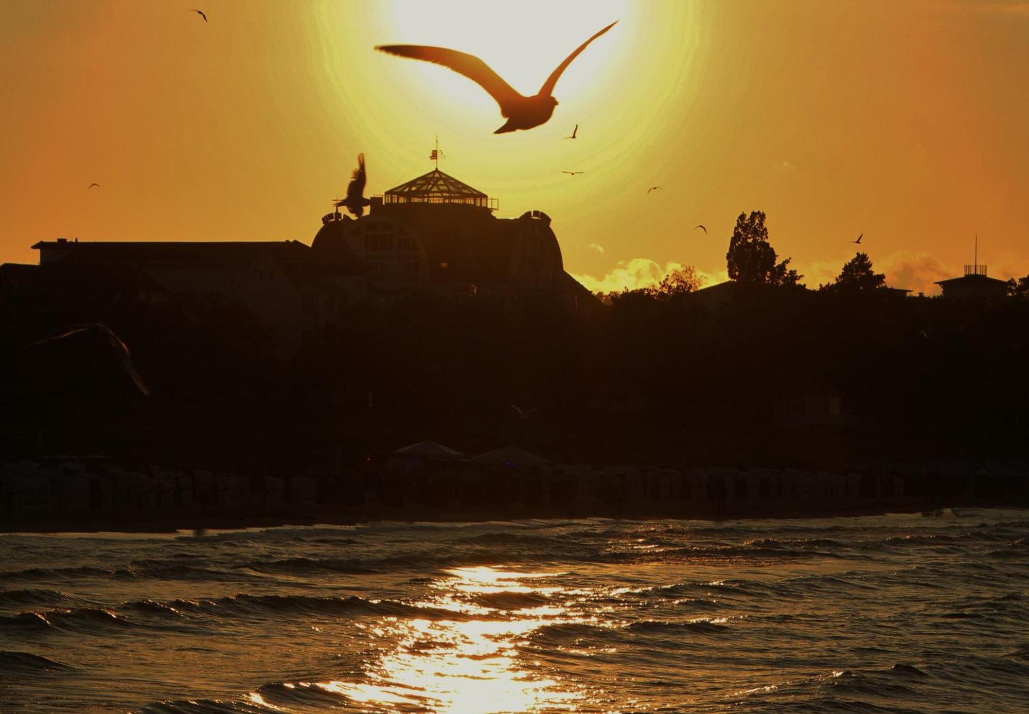 Pension Sanddorn Mit Cafe Carlssons Binz Εξωτερικό φωτογραφία